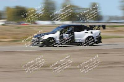 media/Oct-04-2025-OnGrid (Sat) [[44bd565ffa]]/Purple Group/Grapevine/